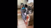 temp