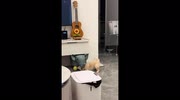 temp