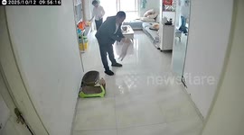 Father accidentally falls while playing with his cat in Anhui, China