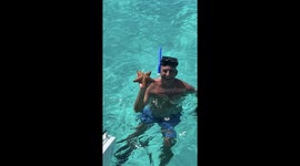 Starfish video in Isla Mujeres Mexico. We saw this while snorkeling in the Caribbean