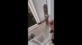 Goldendoodles go wild: Viral TikTok shows duo’s over-the-top reunions every time owner comes home