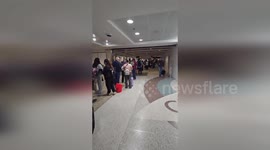 US: Passengers Stranded In Chaos As Alaska Airlines Outage Paralyzes Seattle Airport