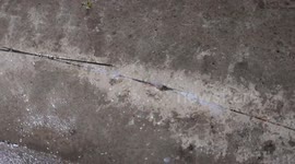 Water Gurgles Out of A Crack in the Concrete
