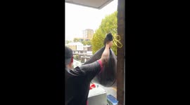 Perfect shot: Man nails fourth-floor bin toss in viral Instagram clip