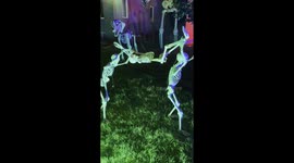 Ozzy second sold out show the  crowd was out of hand tonight total chaos!