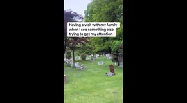 Cemetery flag moves with no wind in viral “paranormal” TikTok mystery