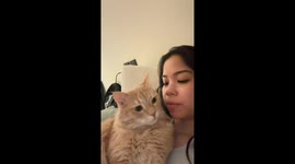 Cat and owner duet to “La Vie En Rose”—TikTok serenade hits 8.4M views
