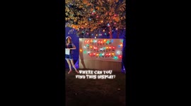 Stranger things-inspired handmade Halloween house goes viral with 49.9K views