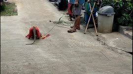 Viral Monkey Mask Street Performers / “Ronggeng Kunyuk”  This is what’s called a topeng monyet or ronggeng kunyuk street performance. These two performers walk from alley to alley, moving through neighborhoods while bringing along a monkey and a tape reco