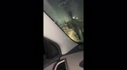 Driver cracks windshield while trying to hit spider in Deltona, Florida, USA
