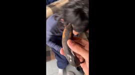 Amazing banana trickshot from high-rise building in Mar del Plata, Argentina