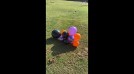 Unleashing the Insane Power of a Blue Laser: Balloon Destruction!