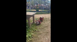 Fundraising Tortoise Fairy Takes A Lunch Break