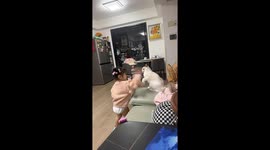 Little girl playfully tussles with cat in Jiangsu, China