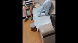 Dog struggles adorably with outfit in Zhejiang, China