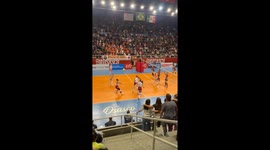 Opossum Interrupts Brazilian Volleyball Championship