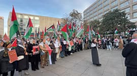 Pro-Palestinian demonstration held in Germany’s capital Berlin
