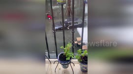 Spain: Young Man Carries Elder Across Flooded Plaza As Sevilla Battles Record Storm