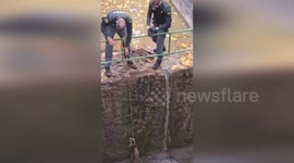 Spain: Heroic Rescue Saves Deer Trapped In Canal Of Cuenca Nature Park