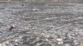 Haiti: Hurricane Melissa claims at least 30 lives in Caribbean