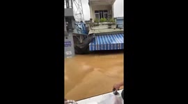 Father and sons trapped in Vietnam flood rescued