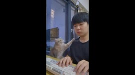 Cat seeks attention from owner in Guangdong, China