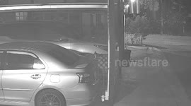 Golden tree snake caught on CCTV near a home carport