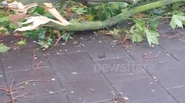 Aftermath of storm in SE London