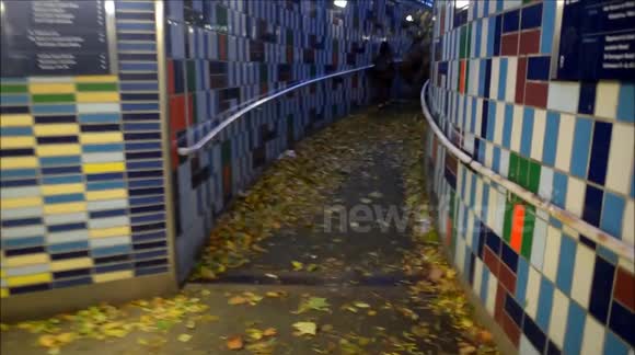 Aftermath of St Jude's Day storm in London SE1