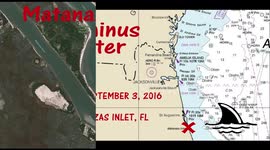 Kayak Surfing Shark Encounter