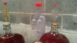 Vino fermentation process for making Ruby Cabernet