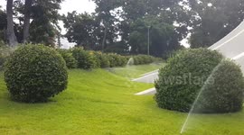 Birds playing and taking bath
