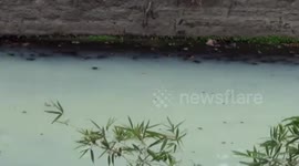 山东一污水站因改造停工 致河道变