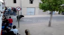 Death By Catching Toro