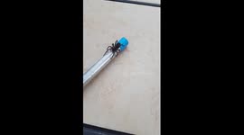Big Ass Spider in my Swimming Pool
