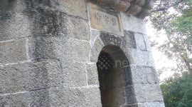 Large tree grows on top of 200-year-old Chinese tower2