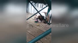 Man sneaks up on his sleepy dog