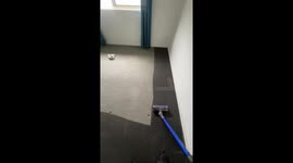 Dust meets Dyson—satisfying carpet clean hits 9M views