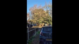 Remember she just wanted to be spider man!!! 10 years later she is now the lorax. Never a dull moment with this child of ours.