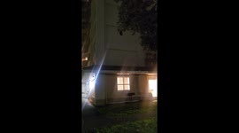 Okinawa Japan has bats outside every night