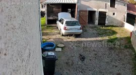 Dog startled by car exhaust smoke in Benavent, France