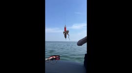 Hotpot by the ocean with freshly caught octopus in Hebei, China