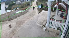 Goose attacks woman on the road in Guizhou, China