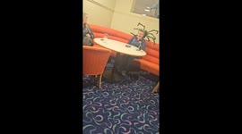 Halloween prank scares woman in Falkirk, Scotland, UK