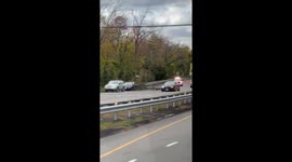 Fallen branch from a large tree on Glen Cove Road, New York, USA