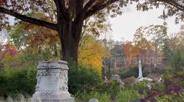 Fall foliage drive near Mount Auburn Cemetery, Cambridge, Massachusetts, USA