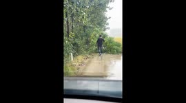A Man removed fallen tree in Jiangsu, China