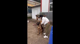 Girl dragged by strong German shepherd in Shandong, China
