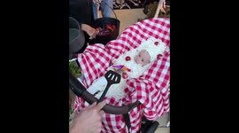 Baby spaghetti costume on Halloween in Tulsa, Oklahoma, USA