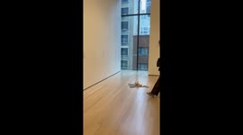 Lad leaves shoe in gallery—TikTok prank racks up 19M views